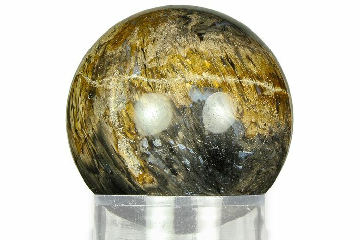 Polished Petrified Palm Wood Sphere - Indonesia #311564